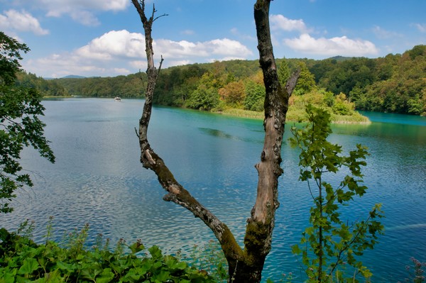 Lago Kozjak